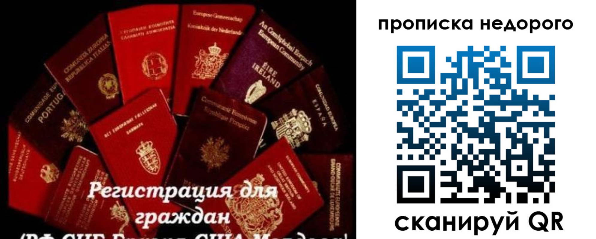 временная регистрация недорого в Светлом